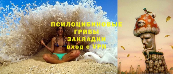 ГАЛЛЮЦИНОГЕННЫЕ ГРИБЫ Куйбышев