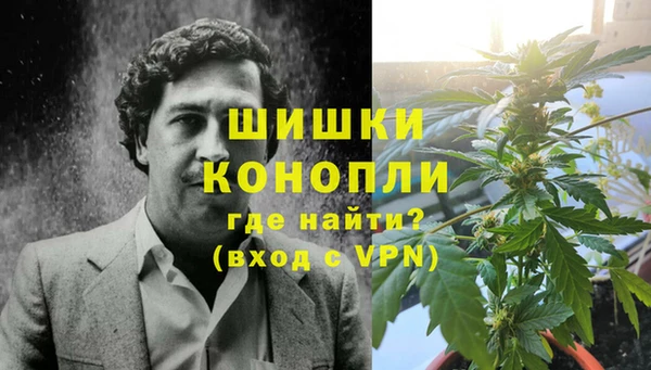 ГАЛЛЮЦИНОГЕННЫЕ ГРИБЫ Куйбышев