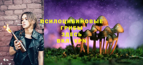 ГАЛЛЮЦИНОГЕННЫЕ ГРИБЫ Куйбышев