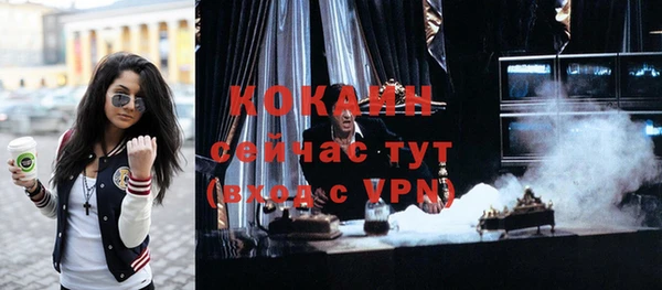 спайс Кулебаки
