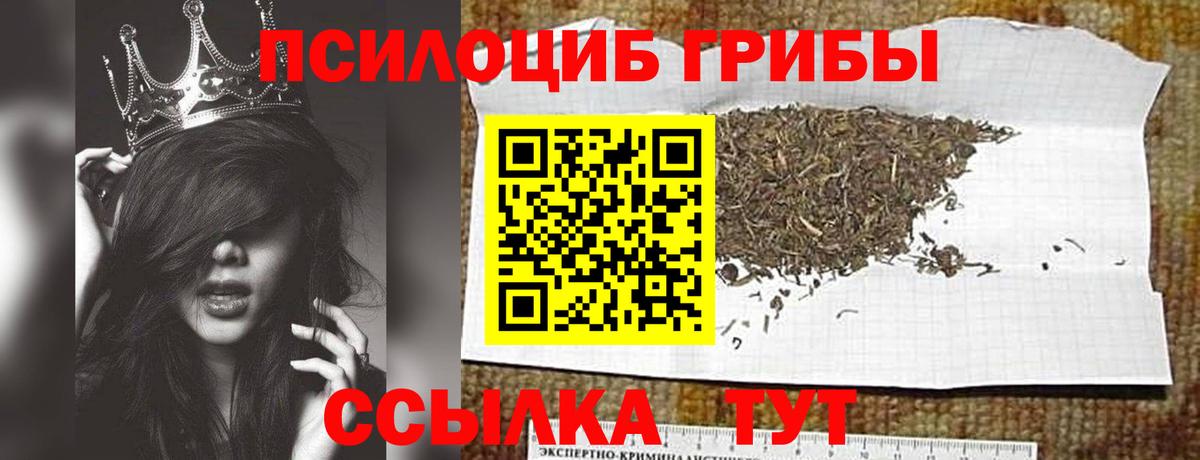 Галлюциногенные грибы Magic Shrooms Балаково